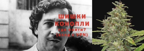 ГАЛЛЮЦИНОГЕННЫЕ ГРИБЫ Белокуриха