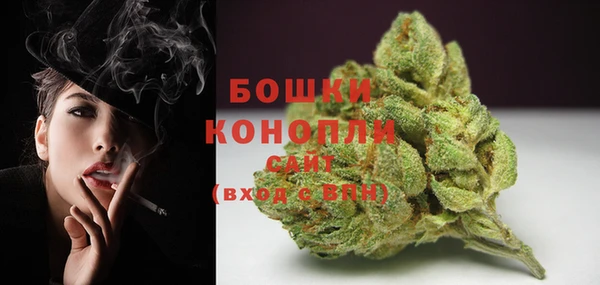 ГАЛЛЮЦИНОГЕННЫЕ ГРИБЫ Белокуриха