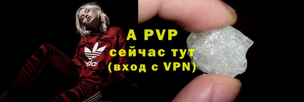 стафф Богородицк