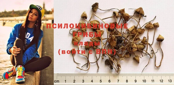 стафф Богородицк