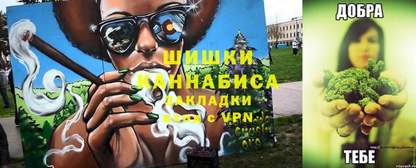 ГАЛЛЮЦИНОГЕННЫЕ ГРИБЫ Белокуриха