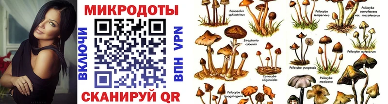Псилоцибиновые грибы Psilocybe  где купить наркоту  ссылка на мегу маркетплейс  Коммунар 